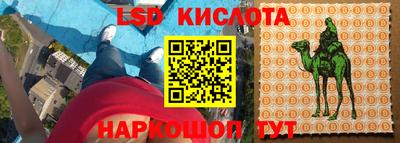 мяу мяу мука Краснознаменск